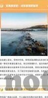 2017年伦理片免费观看-2017年伦理片，网络时代的道德边界与观影新风尚
