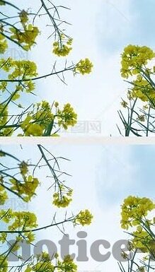 成人激情视频-成人激情视频，理解与界限的探讨
