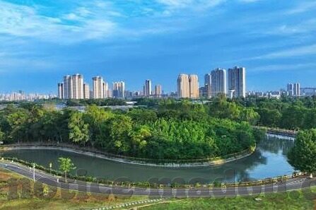 大象传媒app苹果-探索大象传媒App在苹果生态系统中的独特魅力