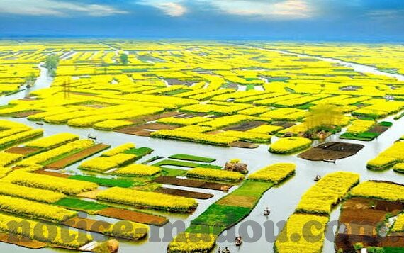 大象传媒m3u8-大象传媒M3U8，重塑流媒体时代的内容分发新篇章
