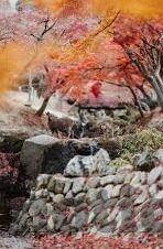 精品日韩一区二区三区-探索日韩影视的多元魅力，一区、二区、三区的独特视角