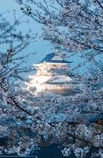 麻豆乐园幼儿视频-麻豆乐园——童真世界的数码记忆