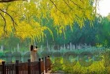 麻豆破解短视频-麻豆破解短视频的灰色地带，内容警示与思考
