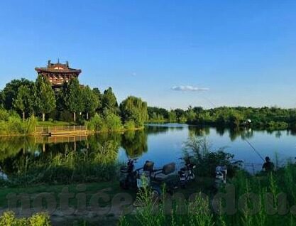 麻豆视频app-探寻娱乐新边疆，麻豆视频App的数字生活透视