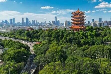 麻豆文化传媒网站地址免费-探索麻豆文化传媒，一道独特的在线娱乐风景线
